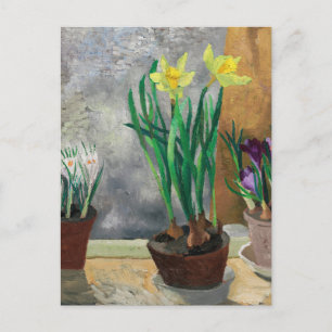 Carte Postale Crocus et Daffodils dans les pots   Christopher Wo
