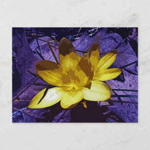Carte Postale Crocus jaune soleil