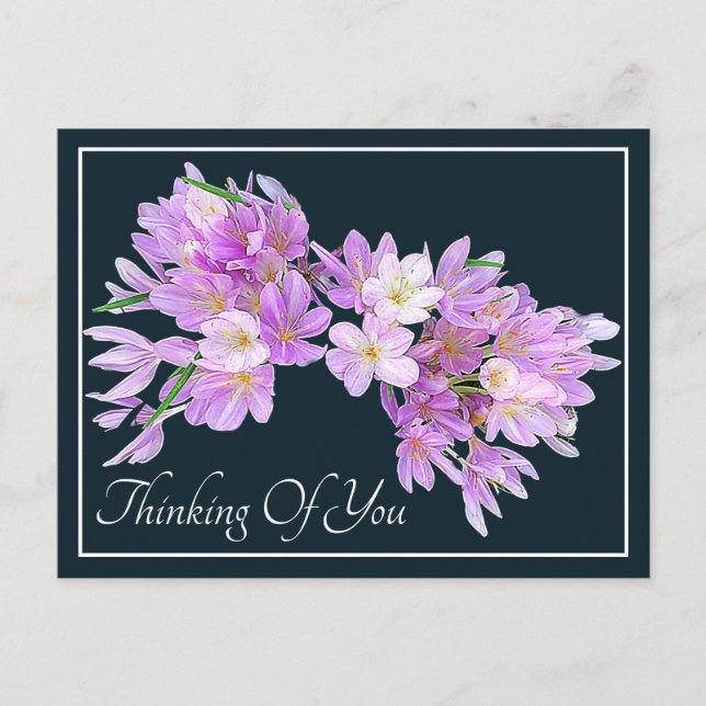 Carte Postale Crocus rose/violet Fond gris Pensée pour toi (Devant)
