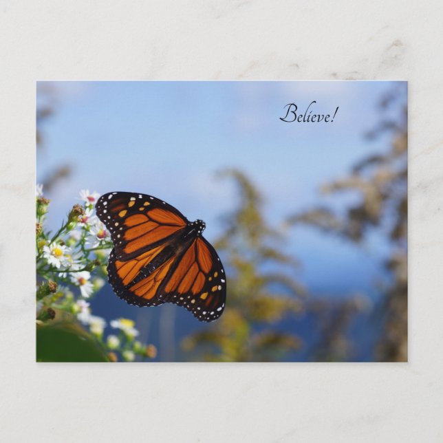 Carte Postale Crois ! (Devant)