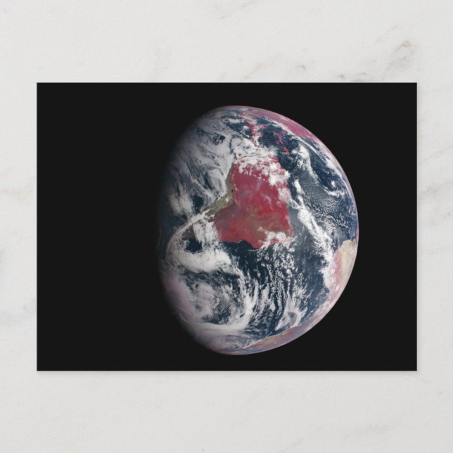 Carte Postale Croissance plante Sur La Planète Terre. (Devant)