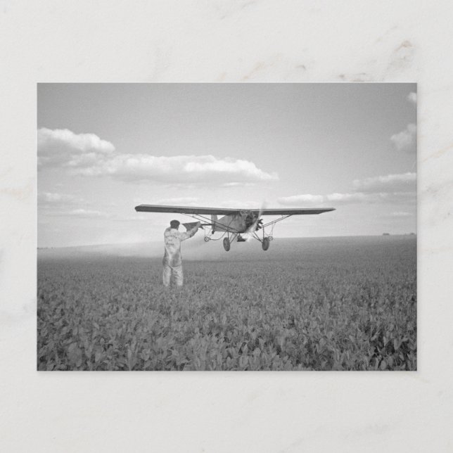 Carte Postale Crop Duster, 1938 (Devant)