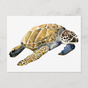 Carte Postale Croquis d'aquarelle de la tortue de mer