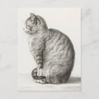 Croquis de chats mignons Jean-Bernard Duvivier