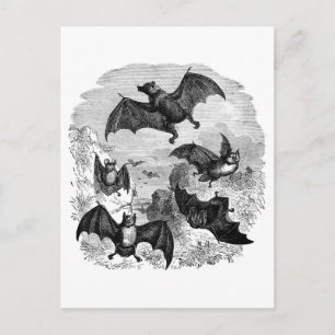 Carte Postale Croquis de chaume