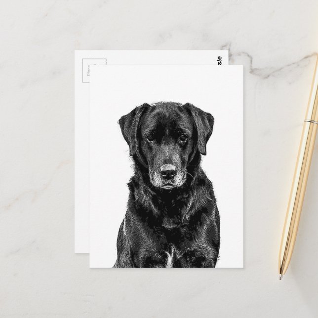 Carte Postale Croquis de chiot Labrador noir mignon (Devant/Arrière en situation)