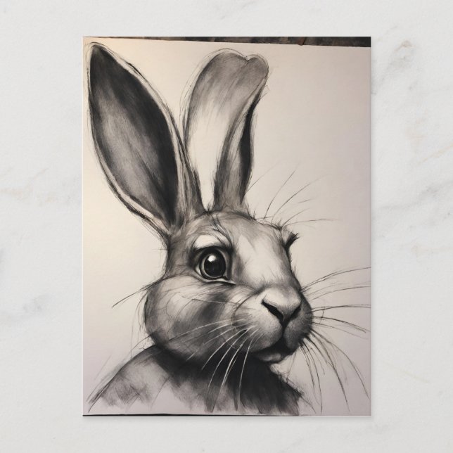 Carte Postale Croquis de lapin de charbon (Devant)