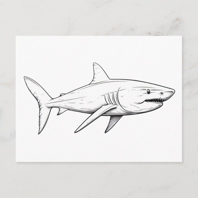 Carte Postale Croquis de requin (Devant)