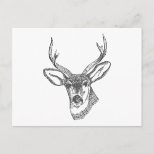 Carte Postale Croquis de tête de cerf