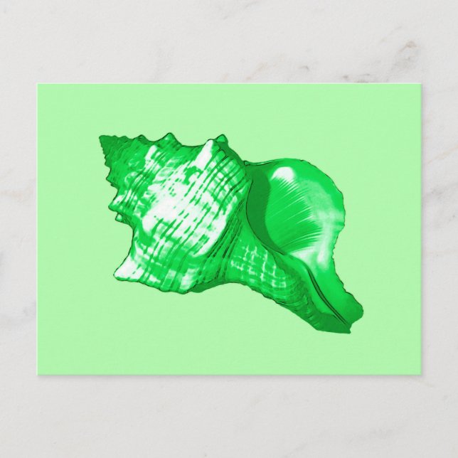 Carte Postale Croquis en coquille de conc - vert émeraude et cit (Devant)
