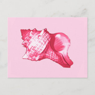 Carte Postale Croquis en coquille de conque - rose fuchsia et bl