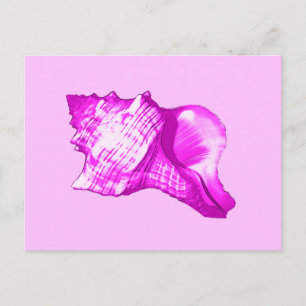 Carte Postale Croquis en coquille de conque - teintes orchidées 