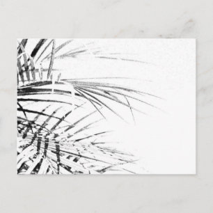 Carte Postale Croquis minimalisme Feuille Palm Tree