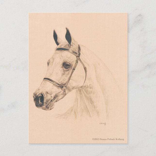 Carte Postale Croquis par Susan Pelisek Kolberg (Devant)