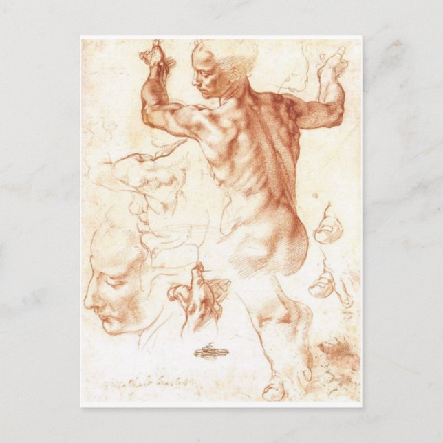 Carte Postale Croquis pour le Sybil libyen (Devant)