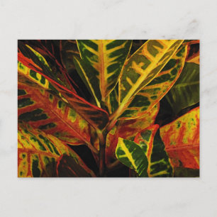 Carte Postale Croton Feuilles Abstraits