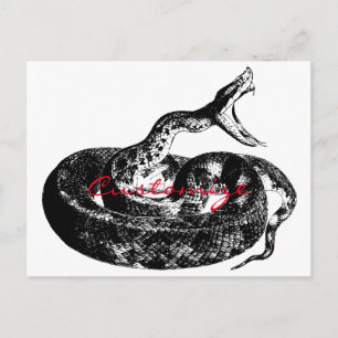 Carte Postale Crotte serrée Thunder_Cove