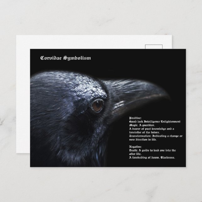 Carte postale Crow (Devant / Derrière)