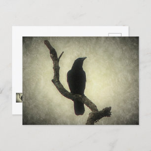 Carte postale Crow