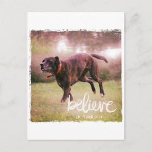 Carte Postale Croyez en votre chien