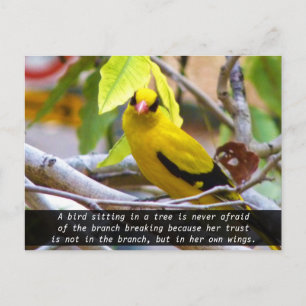 Carte Postale Croyez en vous-même, Oiseau Jaune Perché sur une B