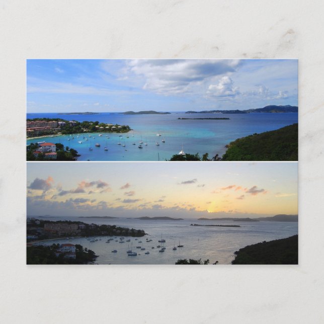 Carte Postale Cruz Bay Collage, St. John, U.S.V.I. (Devant)