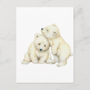 Carte Postale Cubes d'ours polaires