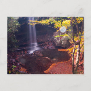 Carte Postale Cucumber Falls, Ohiopyle State Park, Pennsylvanie