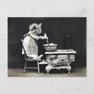 Carte Postale Cuite Vintage Funny Kitten Cuisson et Cuisine