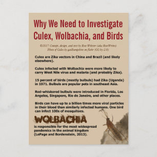 Carte Postale Culex, Wolbachia et Birds par RoseWrites