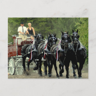Carte Postale culpeper va version provisoire