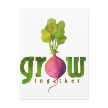 Cultiver ensemble Radish