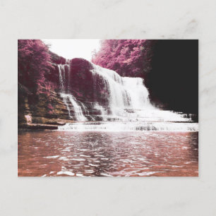 Carte Postale cummins