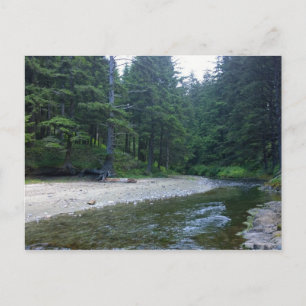 Carte Postale Cummins Creek au parc national Neptune, OU