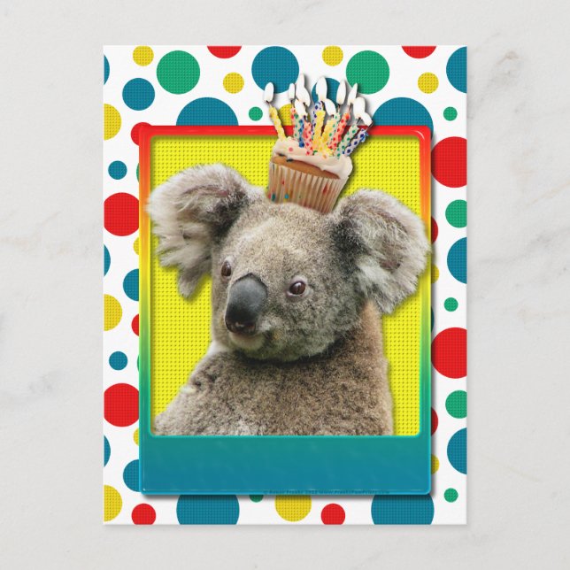 Carte Postale Cupcake anniversaire - Koala (Devant)
