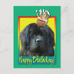Carte Postale Cupcake anniversaire - Terre-Neuve