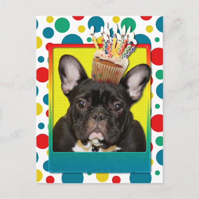 Carte Postale Cupcake d'anniversaire - Chien de taureaux françai (Devant)