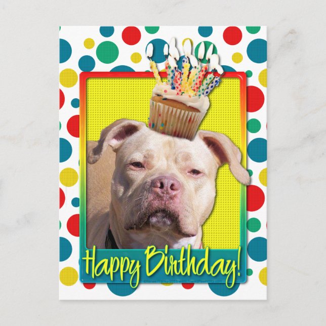 Carte Postale Cupcake d'anniversaire - Pitbull - Jersey Girl (Devant)