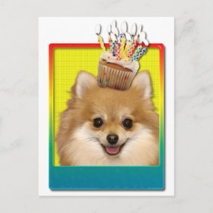 Carte Postale Cupcake d'anniversaire - Pomeranian
