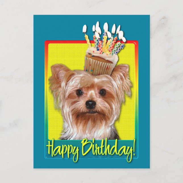Carte Postale Cupcake d'anniversaire - Yorkshire Terrier (Devant)
