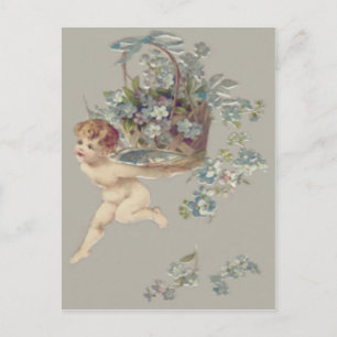 Carte Postale Cupidon Chérubin Ange Myosotis