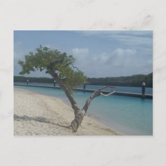 Carte Postale Curaçao