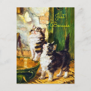 Carte Postale Curieux Chatons Vintage Papillon Art Juste Parce Q