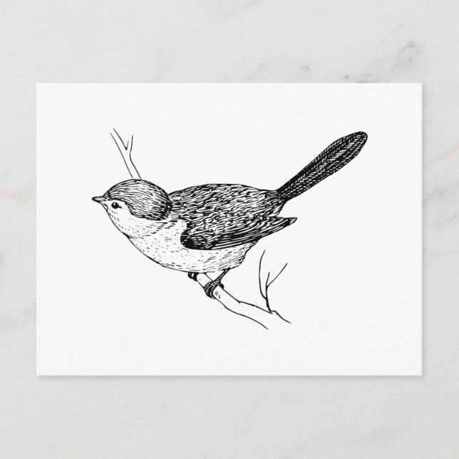 Carte Postale Curieux croquis Bushtit Bird (Devant)