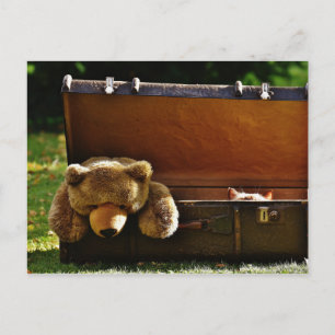 Carte Postale Curieux Kitten de valise avec Teddy farci