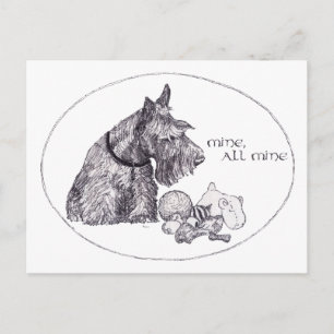 Carte Postale Curieux Terrier Écossais Mien, tout Mien