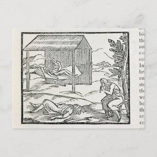 Carte Postale Curing the Sick, les autochtones d'Hispaniola