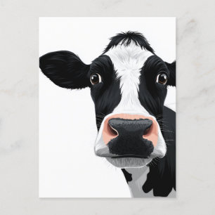 Carte Postale Curiosité de vache rapprochée