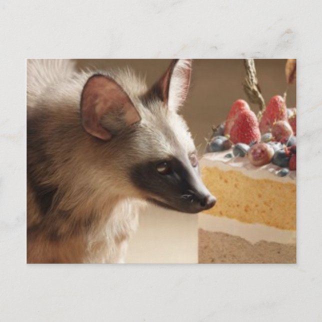Carte Postale Curious Hyena & Cake Postcard (Devant)