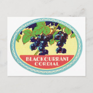 Carte Postale Currant noir Cordial Darries Étiquette Vintage